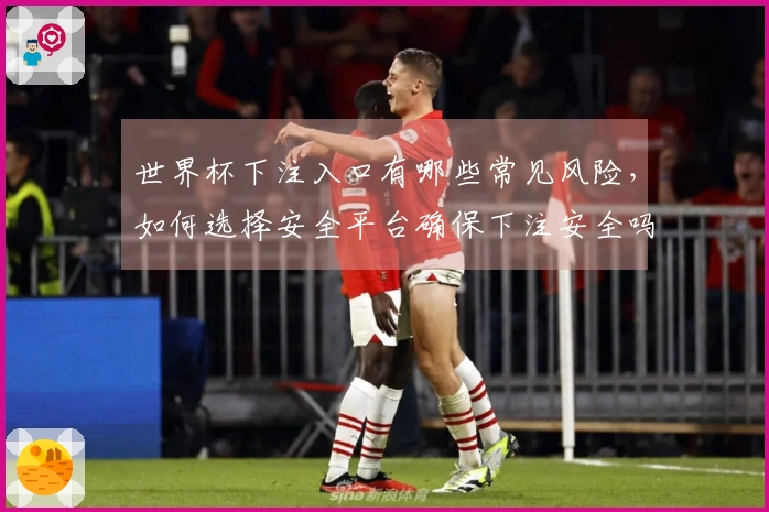 世界杯下注入口有哪些常见风险，如何选择安全平台确保下注安全吗