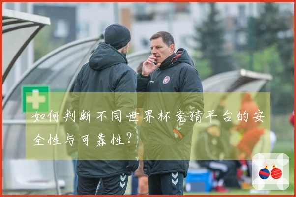 如何判断不同世界杯竞猜平台的安全性与可靠性？