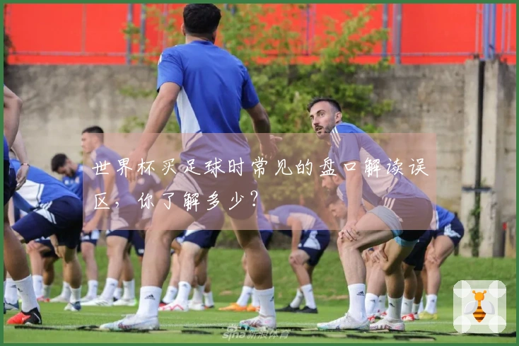 世界杯买足球时常见的盘口解读误区，你了解多少？