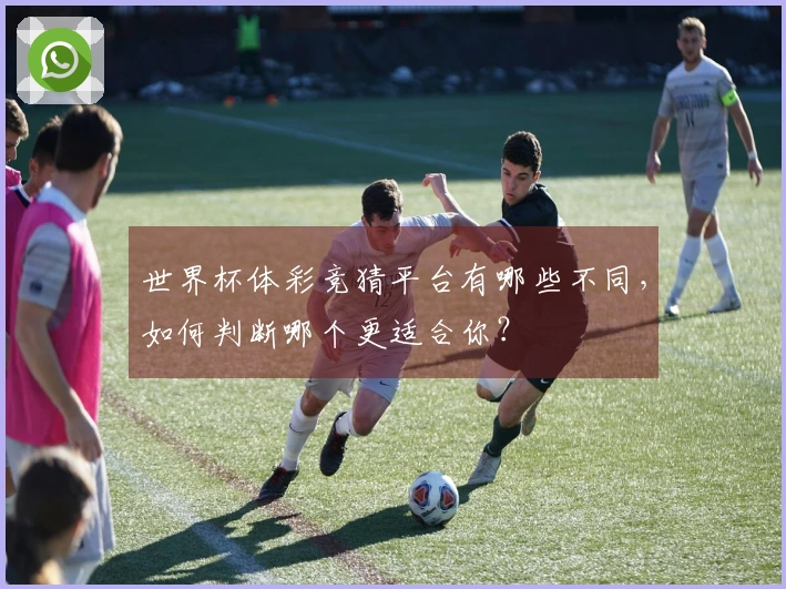 世界杯体彩竞猜平台有哪些不同，如何判断哪个更适合你？