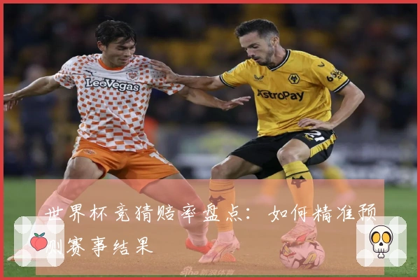 世界杯竞猜赔率盘点：如何精准预测赛事结果