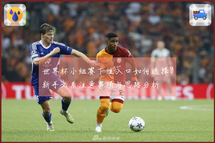 世界杯小组赛下注入口如何选择？新手必看注意事项与思路分析