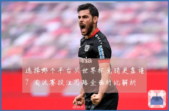 选择哪个平台买世界杯竞猜更靠谱？淘汰赛投注思路全面对比解析