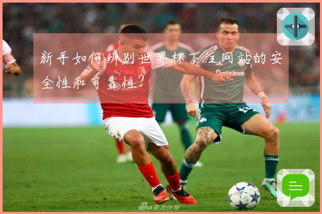 新手如何辨别世界杯下注网站的安全性和可靠性？