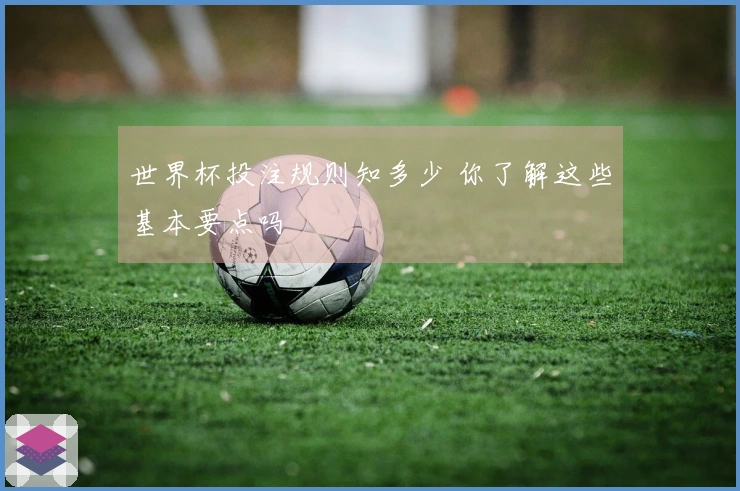 世界杯投注规则知多少 你了解这些基本要点吗
