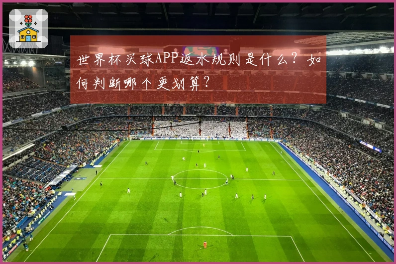 世界杯买球APP返水规则是什么？如何判断哪个更划算？
