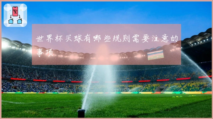 世界杯买球有哪些规则需要注意的事项