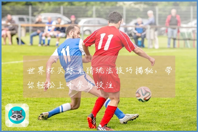 世界杯买球竞猜玩法技巧揭秘，带你轻松上手参与投注