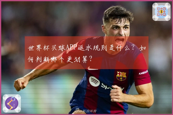 世界杯买球APP返水规则是什么？如何判断哪个更划算？