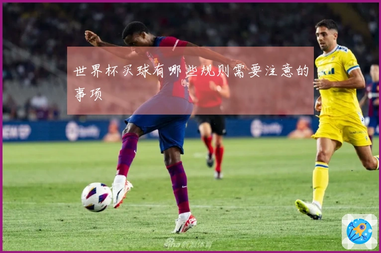 世界杯买球有哪些规则需要注意的事项