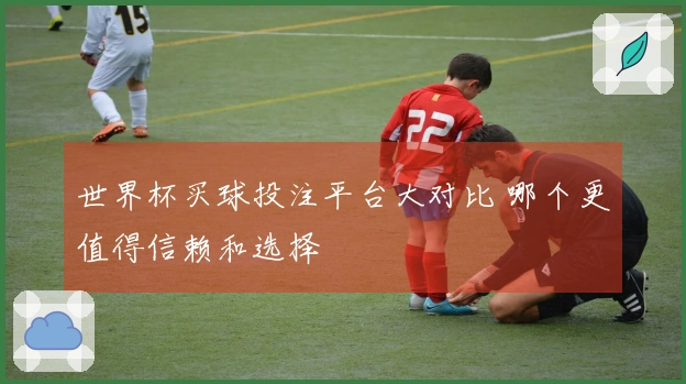 世界杯买球投注平台大对比 哪个更值得信赖和选择