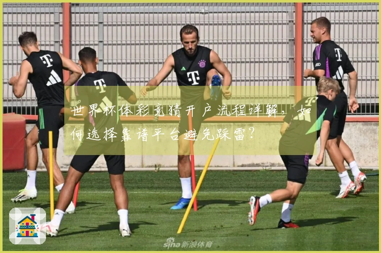 世界杯体彩竞猜开户流程详解，如何选择靠谱平台避免踩雷？