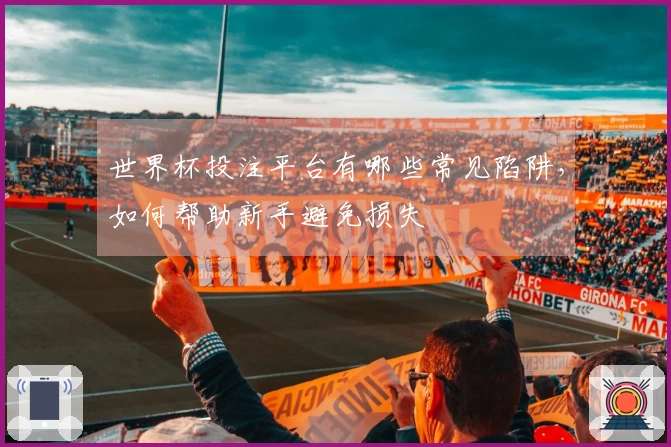 世界杯投注平台有哪些常见陷阱，如何帮助新手避免损失
