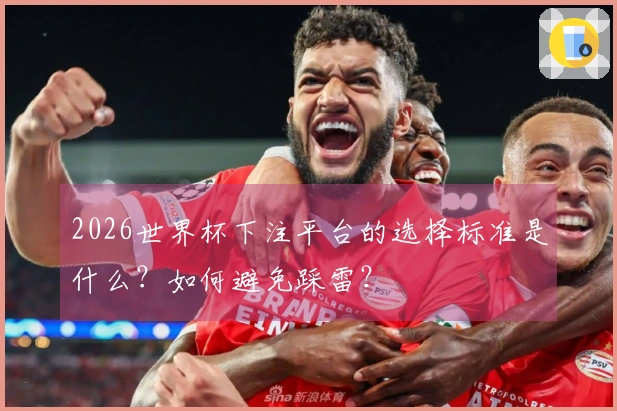 2026世界杯下注平台的选择标准是什么？如何避免踩雷？