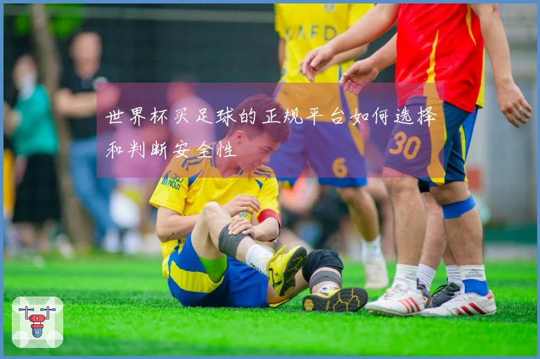 世界杯买足球的正规平台如何选择和判断安全性