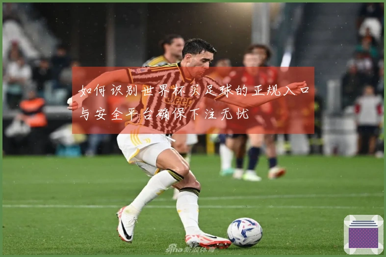 如何识别世界杯买足球的正规入口与安全平台确保下注无忧