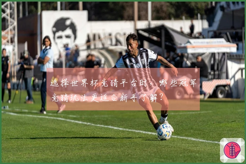 选择世界杯竞猜平台时，哪些冠军竞猜玩法更适合新手了解？