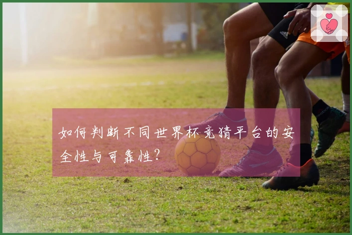 如何判断不同世界杯竞猜平台的安全性与可靠性？