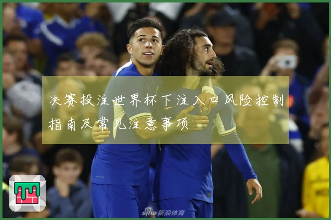 决赛投注世界杯下注入口风险控制指南及常见注意事项