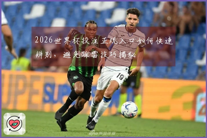 2026世界杯投注正规入口如何快速辨别，避免踩雷技巧揭秘