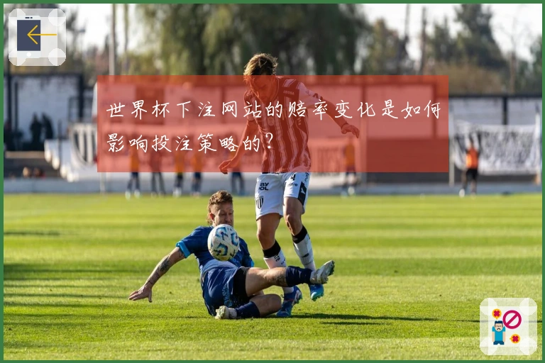 世界杯下注网站的赔率变化是如何影响投注策略的？