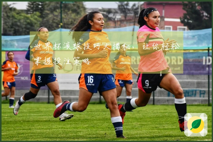 世界杯滚球技巧大揭秘，让你轻松掌握投注策略