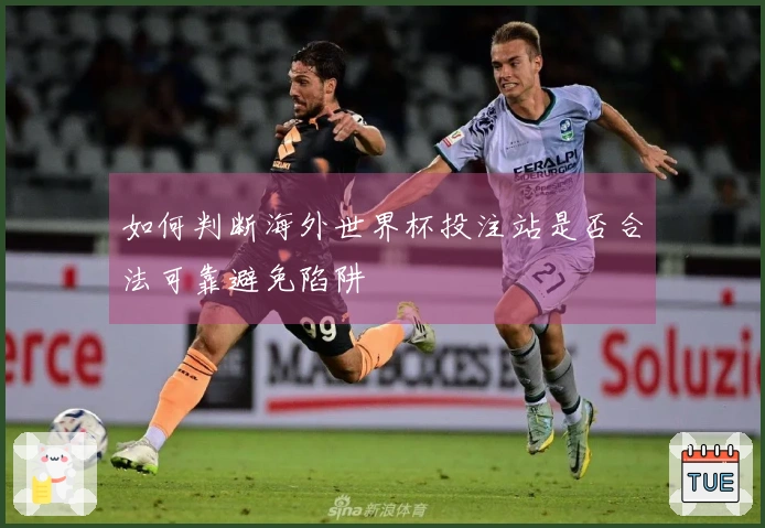 如何判断海外世界杯投注站是否合法可靠避免陷阱