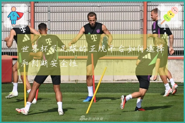 世界杯买足球的正规平台如何选择和判断安全性
