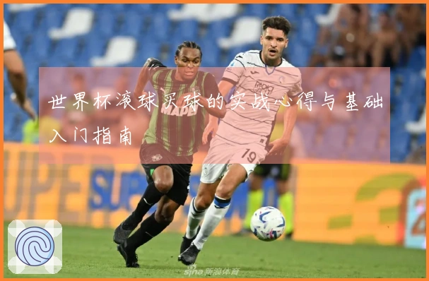 世界杯滚球买球的实战心得与基础入门指南