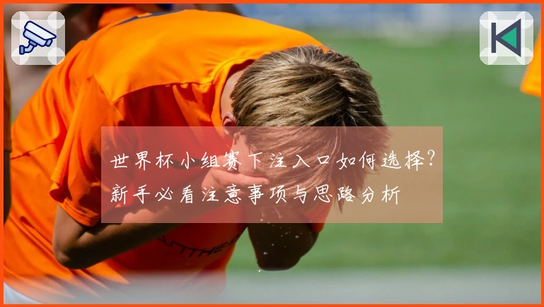 世界杯小组赛下注入口如何选择？新手必看注意事项与思路分析