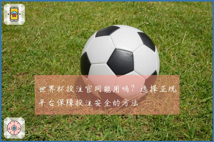 世界杯投注官网能用吗？选择正规平台保障投注安全的方法