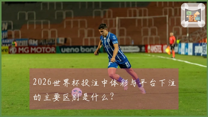 2026世界杯投注中体彩与平台下注的主要区别是什么？